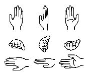 Different palm orientations