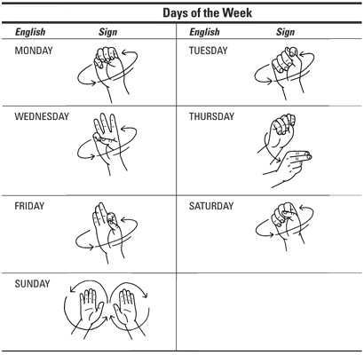 Different circular motions to depict the days of the week