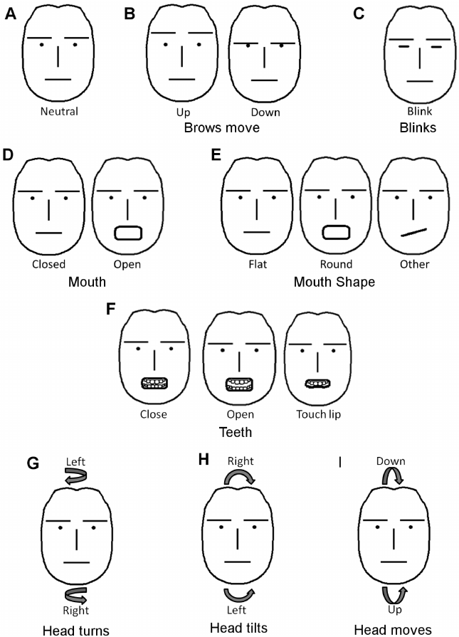 Expressions, using eyebrows, lips and movement of head